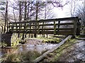 River Alport Footbridge in Hope Woodlands