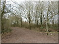 Paths meet near Chessington in KT19 7LA