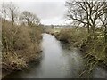 River Swale, Looking Downstream at Brafferton in YO61 2PS