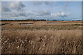 How Hill Fen nature reserve in NR12 8NG