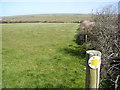 Footpath from Trebarwith Road to Trenouth Farm in PL33 9DB