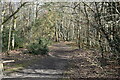 Path on Keston Common in BR2 6HU