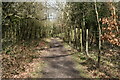 London Loop path in the woods near Holwood House in BR2 6HU