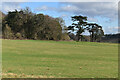 Field and woodland below Holwood House in BR2 6HZ