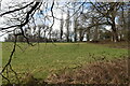 Field and trees beside the London Loop path in BR2 6HZ