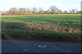 Field by Little Staughton Road, Church End in MK44 2LH
