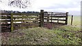 Sheep enclosure on north side of bridleway in CA8 9JB
