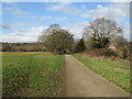 Bridleway on Ashtead Common in KT21 1PW