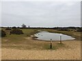 Dog pond at Greenham Common in RG14 7SJ