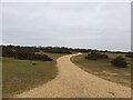 Gravel path at Greenham Common in RG14 7SJ