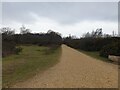 Path to west car park at Greenham Common in RG14 7SJ