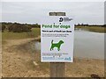 Pond for dogs at Greenham Common in RG14 7SJ