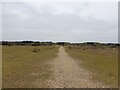 Path to ex-bunkers at Greenham Common in RG14 7HQ