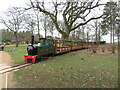 Cotswold Wildlife Park narrow-gauge railway in OX18 4JH