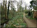 Path by Baguley Brook in M33 4DB