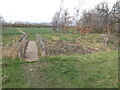 Footbridge and path near Great Coates in DN37 9NZ