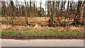 Former gateway into House Wood from east side of minor road in CA6 4NS