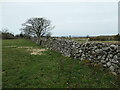 Wal gerrig sychion / drystone wall, Waunfawr in LL55 4YS