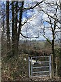 Footpath gate in SA18 2SL