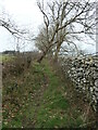 Llwybr march, edrych i'r gorllewin / Bridleway, looking west in LL54 7YE