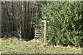 Footpath waymarker, Kemp's Wood in TN21 9QH
