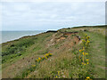 Coast west of  Brighstone Holiday Centre in PO30 4DT