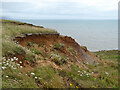 Cliff top east of Chilton Chine in PO30 4DT