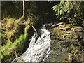 A waterfall in the forest in AB31 5RB