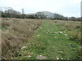 Llwybr troed ar y sarn / footpath on a causeway in LL55 4YS