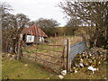 Neglected Enclosure, Below Halkyn Mountain in CH8 8JT