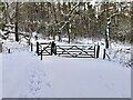 Snowy gate at an entrance to Hall Wood in DE6 3JY