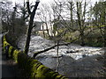 Calver Mill and White Water in Calver