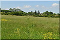 Footpath crossing meadow in TN25 7EH