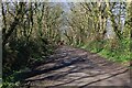 Tree-lined bridleway in TR20 9DY