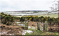 Path through gorse reaching old railway route in Alnwick
