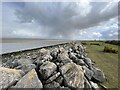 Coastal defences above the Dee Estuary in CH8 9DS