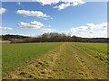 Path towards Bagnor Manor in RG20 8AN