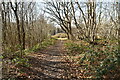 Footpath, Lodge Wood in TN25 4NS