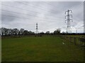 Power lines above horses in B96 6LH