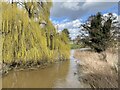 River Roden at Rodington in SY4 4QR
