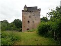 The west face of the Sauchie Tower in FK10 3AN