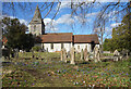 Wild Flowers in the Churchyard in GU1 2QP