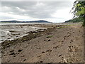 Mudflats, Beauly Loch in IV3 6TE