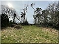 Small woods at Airyhall in AB15 8LT