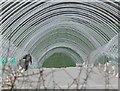 Polytunnels at Honey Hill in DE12 8DN