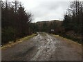 Forestry entrance near Peinmore in IV51 9QG