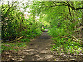 Bridleway 3348 towards Gills Lane in GU28 9BY