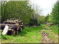 Track and timber, Heathend Copse in GU28 9BY