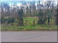 Gate in the hedgerow in RG7 4LY