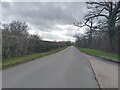 Road towards Brimpton Airfield in RG7 4LY